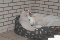 Davinia,Coralie beim schlafen