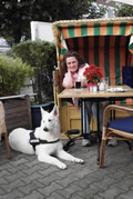 Abend essen im Strandkorp